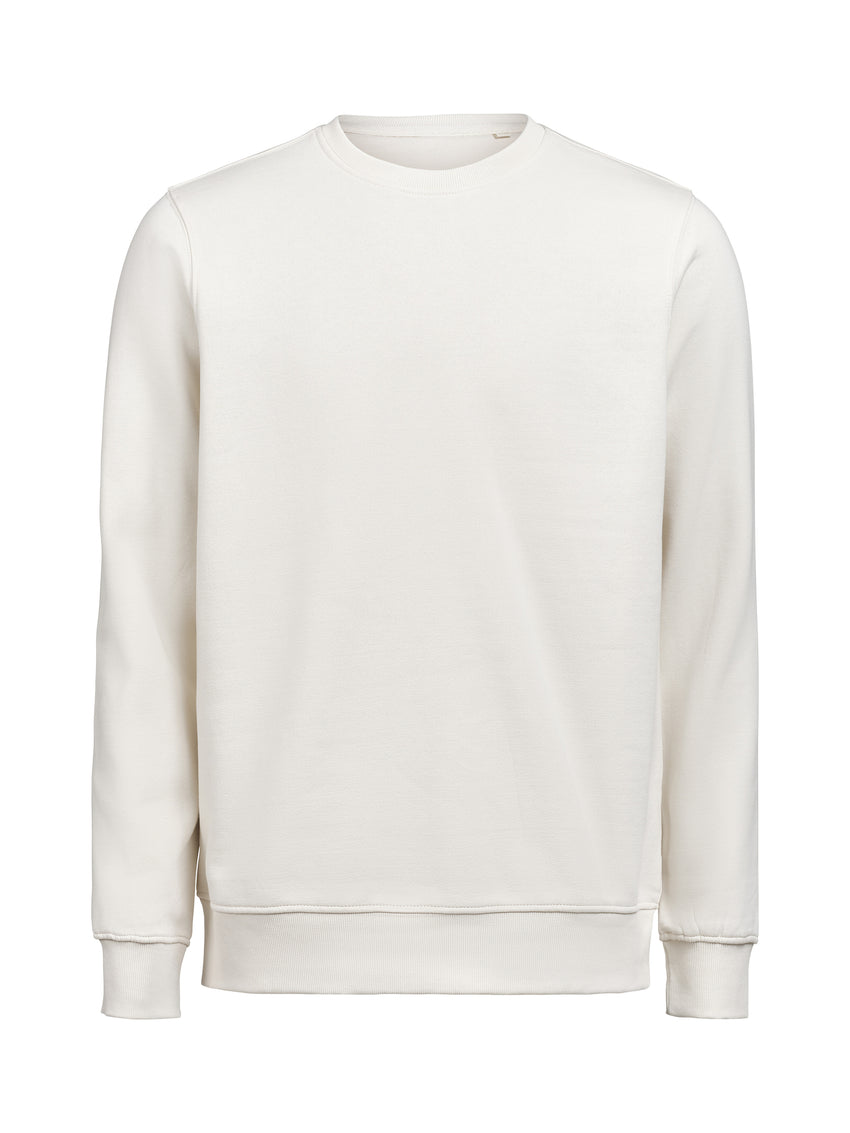 UM Crewneck (OCS-RCS) Regular Fit Unisex