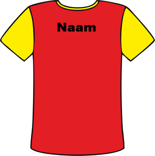 Naam op de rug 1 kleurig Flexfolie